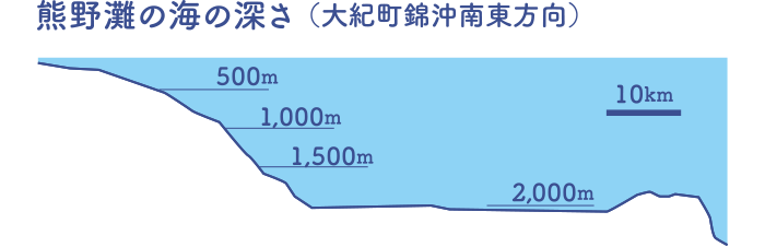 熊野灘の海の深さ（大紀町錦沖南東方向）2,000m