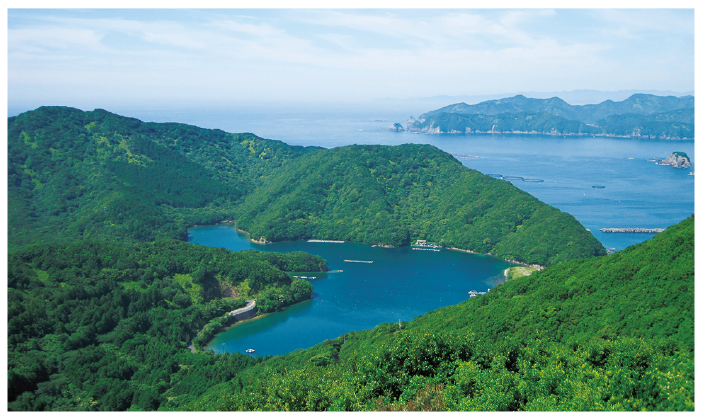 山と海の写真