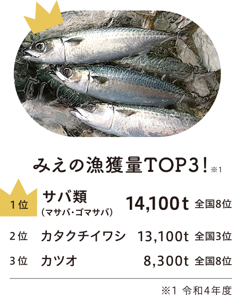 みえの漁獲量TOP3！（令和４年度）：１位　サバ類（マサバ・ゴマサバ）　14,100t　全国８位、２位　カタクチイワシ　13,100t　全国３位、３位　カツオ　8,300t　全国８位