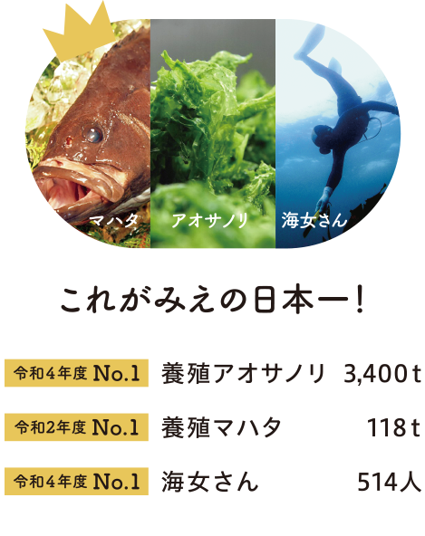 これがみえの日本一！：令和４年度 No.１　養殖アオサノリ　3,400t、令和２年度 No.１　養殖マハタ　118t、令和４年度 No.１　海女さん　514人